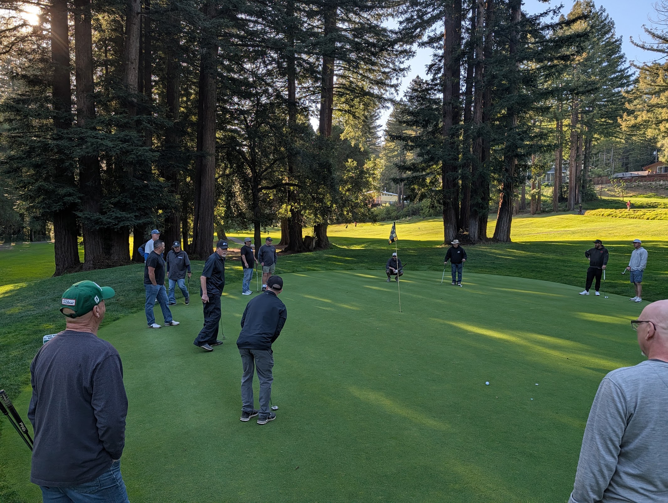 Men's Club horse race on the putting green among redwoods
